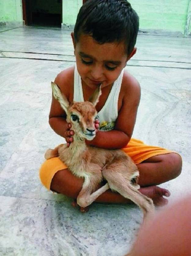 Cuộc sống thần tiên của bộ tộc 500 năm không ăn thịt