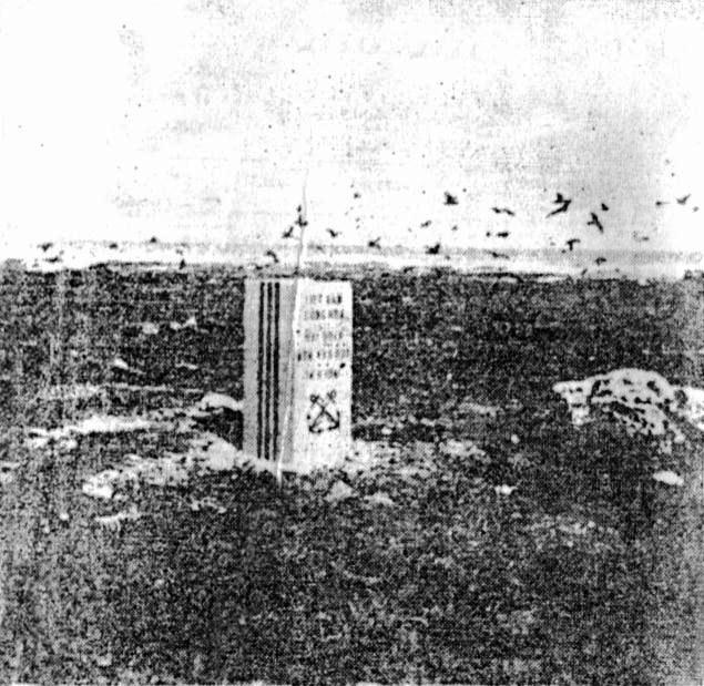 Images intégrées 4